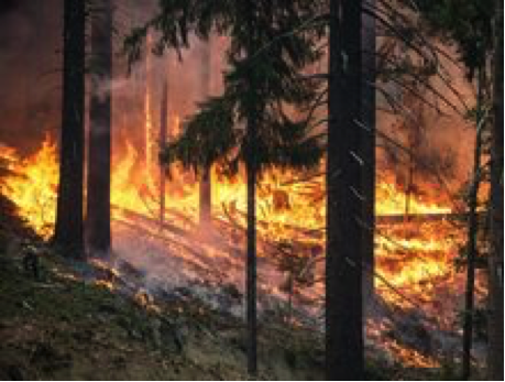 Is Alaska prepared for extreme wildfires? EU project APPLICATE scientists contribute to forecasting Alaska wildfires to enable better forecasts to prepare for serious wildfires in the future. Improving the predictive skill of the Extreme Forecast Index (EFI) highly related to the risk of wildfires can help Arctic communities to make more efficient risk management decisions (photo: Pixabay)